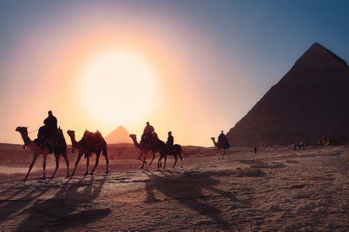 Camel ride pyramids 